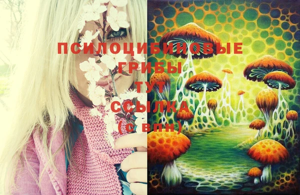 spice Краснотурьинск