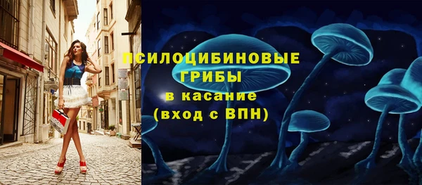 винт Краснослободск
