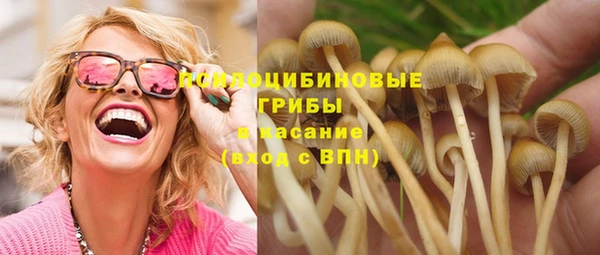 spice Краснотурьинск