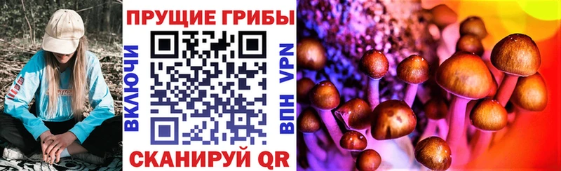 Псилоцибиновые грибы MAGIC MUSHROOMS  Купить где  Малоархангельск 